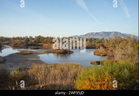 Lagune naturali del Parco naturale della riserva naturale dell'estuario del Guadalhorce. Andalusia, Malaga, Spagna. Foto Stock