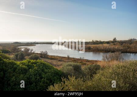 Lagune naturali del Parco naturale della riserva naturale dell'estuario del Guadalhorce. Andalusia, Malaga, Spagna. Foto Stock