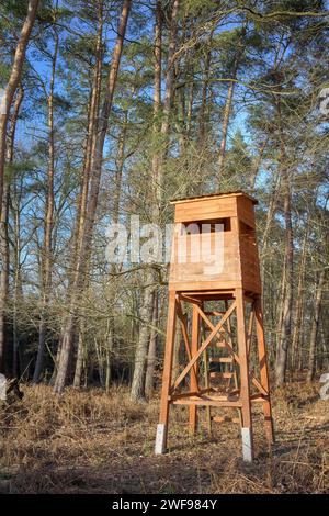 Foto di una torre di caccia al cervo ai margini della foresta. Foto Stock