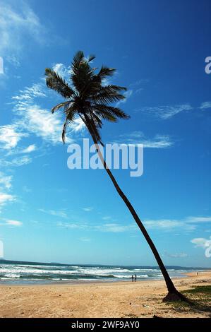 La spiaggia di Colva si estende per circa 2,5 km lungo una costa sabbiosa di circa 25 km che si estende da Bogmalo a nord a Cabo de Rama a sud. Le spiagge di Goa sono la destinazione perfetta per una vacanza rilassante e una vacanza in India. Sport acquatici e assaporare l'esotico cibo di mare di Goa, le spiagge hanno tutto. Goa è il luogo perfetto per concedersi attività in spiaggia con un'irresistibile combinazione di sabbie argentate, palme e le giocose onde del mare che affascinano le persone con il loro ritmo di marea. Colva, Goa, India. Foto Stock