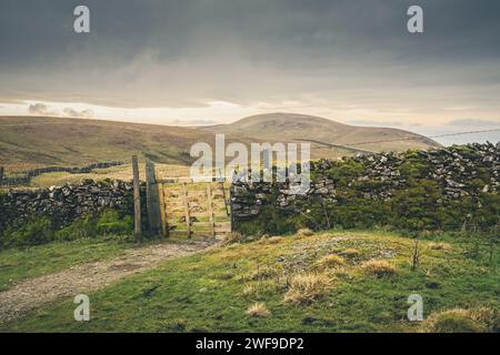 Il Settle Loop è un percorso circolare di 16 km che può essere iniziato e terminato in Settle o Unito da aree circostanti come Malham e Stainforth. Foto Stock