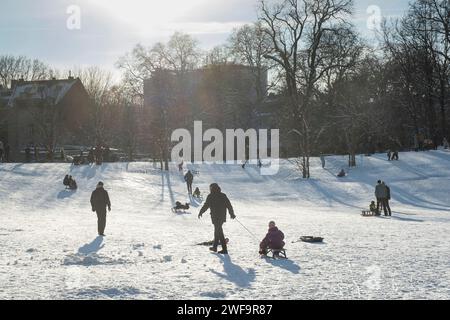 Paesaggio invernale nella Nippeser Taelchen (valle del Nippes) nel quartiere Nippes di Colonia Foto Stock