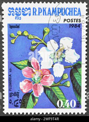 Francobollo cancellato stampato dalla Cambogia, che mostra Plumeria sp., circa 1984. Foto Stock