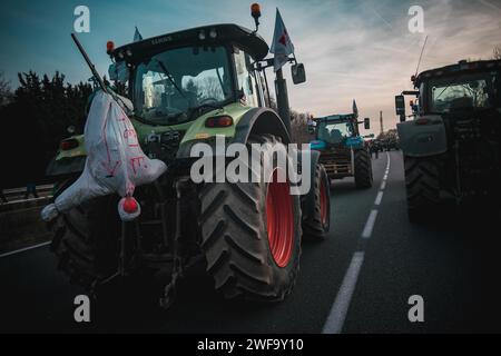 Roissy, Francia. 29 gennaio 2024. © Gerard Cambon/le Pictorium/MAXPPP - Roissy 29/01/2024 Gerard Cambon/le Pictorium - 29/01/2024 - Francia/Ile-de-France/Roissy - blocage d'autoroute A1 par les paysans en colere a l'aire de Cheneviere, pres de l'aeroport de Roissy. - Valeurs ACtuelles out, no jdd, jdd out, RUSSIA OUT, NO RUSSIA #norussia/29/01/2024 - Francia/Ile-de-France (regione)/Roissy - agricoltori che bloccano l'autostrada IA a nord di Parigi vicino all'aeroporto di Roissy credito: MAXPPP/Alamy Live News Foto Stock