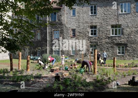 Alcune famiglie coltivano e mantengono un giardino di fronte a un bellissimo condominio nelle mura esterne della città di Tallinn in una giornata di sole Foto Stock