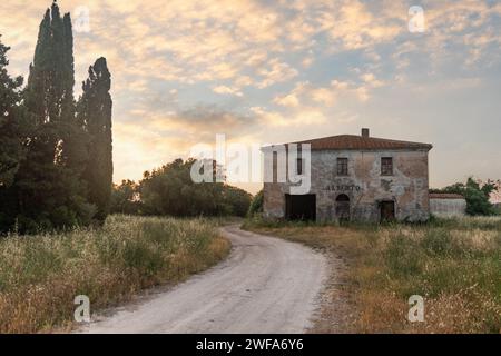 Antico casale immerso nella campagna maremmana al tramonto in estate, Bolgheri, Livorno, Toscana, Italia Foto Stock