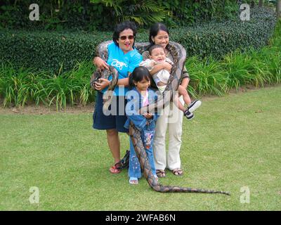 Una famiglia indonesiana che tiene un grande serpente di pitone a Bedugul a Bali, Indonesia. Foto Stock