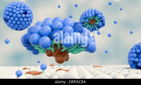 il rendering 3d delle molecole di sapone forma strutture chiamate micelle. forma un'emulsione nell'acqua e aiuta a sciogliere lo sporco quando lavamo il panno Foto Stock