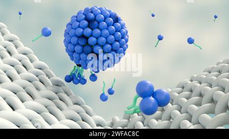 il rendering 3d delle molecole di sapone forma strutture chiamate micelle. forma un'emulsione nell'acqua e aiuta a sciogliere lo sporco quando lavamo il panno Foto Stock