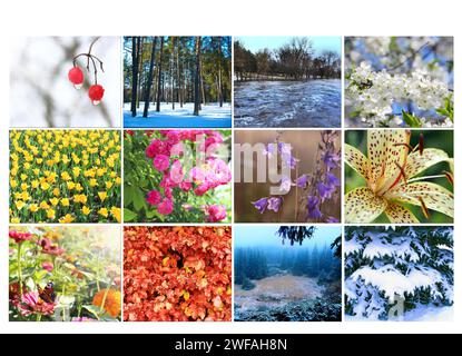 Bianco con dodici diverse immagini colorate della natura per il calendario. Foto pronta per il calendario. Le foto per il calendario annuale. Striscione per Office Foto Stock