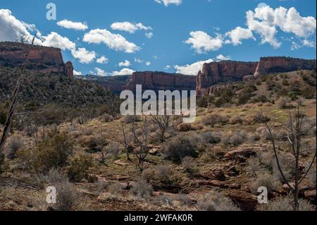 La foce del devil's Canyon nella McInnis Canyons National Conservation area vicino a Fruita, Colorado Foto Stock