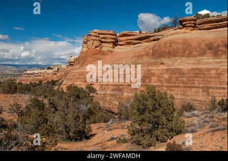 Scogliere di arenaria vicino alla foce del devil's Canyon nella McInnis Canyons National Conservation area vicino a Fruita, Colorado Foto Stock