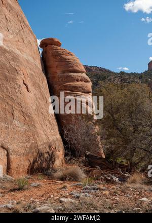 Un pinnacolo di arenaria in fase di formazione, alla foce del devil's Canyon nella McInnis Canyons National Conservation area vicino a Fruita, col Foto Stock