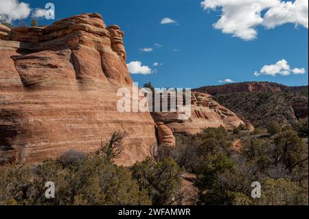 Le pareti di roccia rossa Entrada Sandstone del devil's Canyon, vicino a Fruita, Colorado Foto Stock