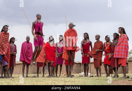 I Maasai eseguono la tradizionale danza di salto in un villaggio Maasai a Maasai Mara, Kenya Foto Stock