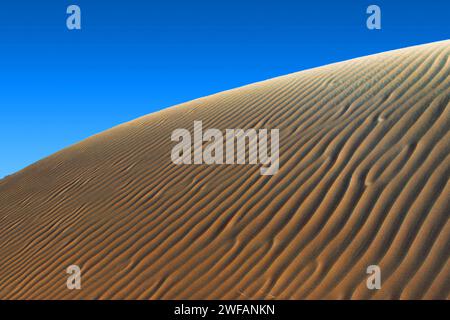 Dune di sabbia nel deserto dell'Oman vicino al confine con l'Arabia Saudita. Sandduenen in Oman, Arabia Saudita Foto Stock