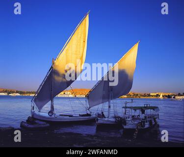 Luce notturna sulle vele di due feluche sulla riva del Nilo di fronte a Luxor, Egitto, Nil, barche, tramonto Foto Stock