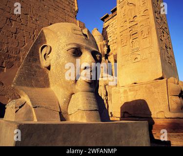 Testa scolpita di Re Ramses II alla luce del sole del mattino presto con colonna incisa e altre sculture dietro al Tempio di Luxor, Luxor, Egitto Foto Stock