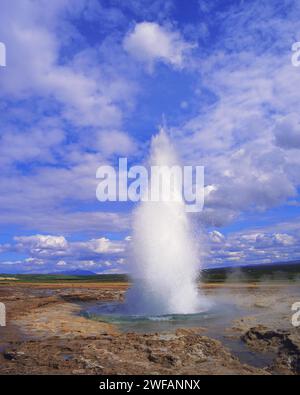 Il geyser Strokkur inizia una nuova eruzione (ogni 15 minuti), Haukadale, Islanda Foto Stock