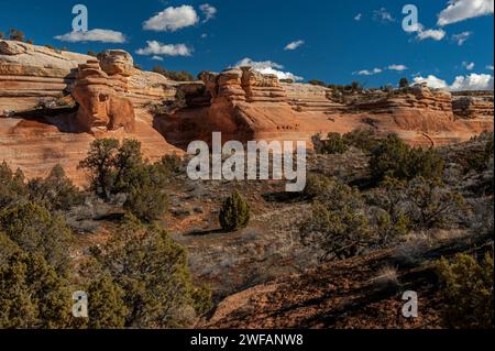 L'arenaria di Entrada si trova nelle pareti laterali del devil's Canyon, vicino a Fruita, Colorado Foto Stock