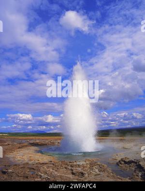 Il geyser Strokkur inizia una nuova eruzione (ogni 15 minuti), Haukadale, Islanda, Europa Foto Stock