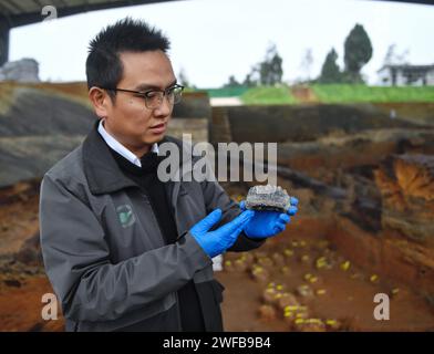 (240130) -- ZIYANG, 30 gennaio 2024 (Xinhua) -- Zheng Zhexuan, archeologo dell'Istituto Provinciale di reliquie culturali e archeologia del Sichuan, mostra un dente di elefante scoperto nel sito Mengxihe nella contea di Lezhi di Ziyang, nella provincia del Sichuan della Cina sud-occidentale, 5 dicembre 2023. Il sito di Mengxihe è stato annunciato come uno dei sei più importanti reperti archeologici del 2023 in Cina martedì, secondo l'Istituto Provinciale di Sichuan di reliquie culturali e archeologia. Il sito di Mengxihe, risalente a 50.000 - 70.000 anni fa, ha conservato un certo numero di resti di materia organica, tra cui ani Foto Stock