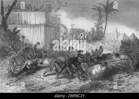 Combattimenti per i capi delle vittime durante le guerre tribali e i sacrifici umani e le uccisioni in Kingdom of Dahomey (1600-1904), ora Benin, Africa occidentale. Incisione d'epoca o storica o illustrazione 1863 Foto Stock