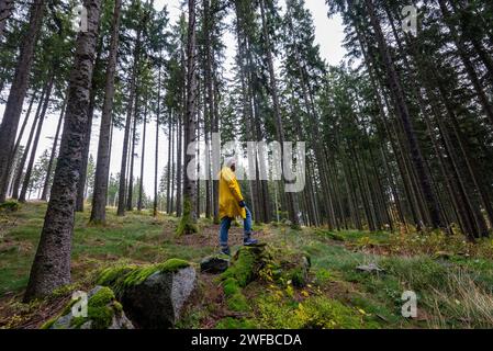 SIMON DAVAL/PERIPLES ET CIE/MAXPPP - Photo d'Illustration de paysages en Forêt Noire (Schwartzwald), Bade Wurtemberg, Allemagne Deutschland). Credito: MAXPPP/Alamy Live News Foto Stock