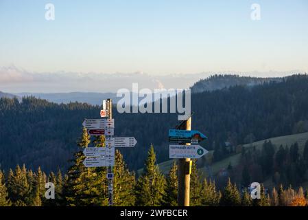 SIMON DAVAL/PERIPLES ET CIE/MAXPPP - Photo d'Illustration de paysages en Forêt Noire (Schwartzwald), Bade Wurtemberg, Allemagne Deutschland). Credito: MAXPPP/Alamy Live News Foto Stock