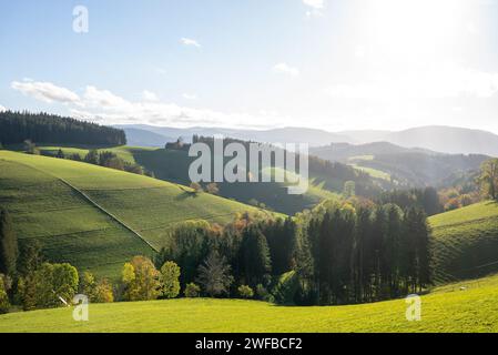 SIMON DAVAL/PERIPLES ET CIE/MAXPPP - Photo d'Illustration de paysages en Forêt Noire (Schwartzwald), Bade Wurtemberg, Allemagne Deutschland). Credito: MAXPPP/Alamy Live News Foto Stock