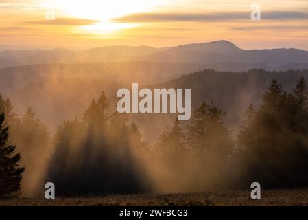 SIMON DAVAL/PERIPLES ET CIE/MAXPPP - Photo d'Illustration de paysages en Forêt Noire (Schwartzwald), Bade Wurtemberg, Allemagne Deutschland). Credito: MAXPPP/Alamy Live News Foto Stock