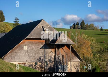 SIMON DAVAL/PERIPLES ET CIE/MAXPPP - Photo d'Illustration de paysages en Forêt Noire (Schwartzwald), Bade Wurtemberg, Allemagne Deutschland). Credito: MAXPPP/Alamy Live News Foto Stock