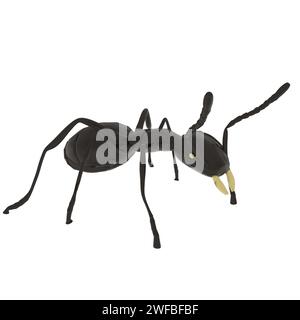 ANT isolato su sfondo bianco. Illustrazione 3d di alta qualità Foto Stock
