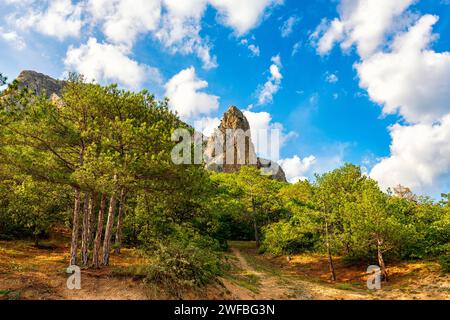 paesaggio montano estivo con roccia solitaria Foto Stock