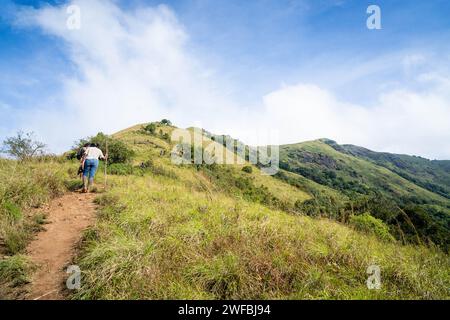 Fotografo Mountain Trekking nel Santuario della vita selvaggia di Waynad. 7 gennaio 2024, Kerala India. Foto Stock