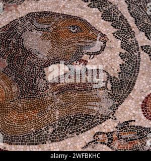 Gatto grande feroce, denti e artigli tagliati. Particolare del mosaico del pavimento tardo romano in peristilio adiacente al triclinio (sala da pranzo) a Villa Romana del Casale, Piazza Armerina, Sicilia, Italia. Foto Stock