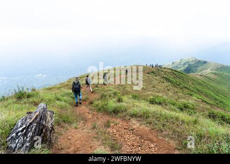 Fotografo Mountain Trekking nel Santuario della vita selvaggia di Waynad. 7 gennaio 2024, Kerala India. Foto Stock