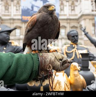 La Royal Academy, Londra, Regno Unito. 30 gennaio 2024. L'artista interdisciplinare Tavares Strachan (nato nel 1979, Nassau, Bahamas) svela la sua nuova scultura la prima cena, 2021-23 nel cortile Annenberg della Royal Academy. La prima cena è presentata nell'ambito della mostra Engled Pasts: 1768-Now: Art, Colonialism and Change, inaugurata il 3 febbraio 2024. L'installazione è visitata da Harris Hawk, Jet. Crediti: Malcolm Park/Alamy Live News Foto Stock