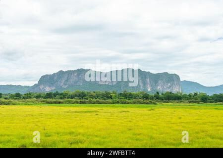 Montagna con campo di palude verde nell'area locale chiamata distretto di Phu Pha Man, Khon Kaen, Thailandia. Foto Stock