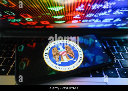 Polonia. 30 gennaio 2024. In questa immagine, sullo smartphone viene visualizzato il logo della National Security Agency (NSA) con le percentuali del mercato azionario sullo sfondo. Credito: SOPA Images Limited/Alamy Live News Foto Stock