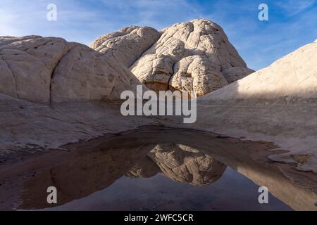 Brain rock si riflette in una piscina effimera nella White Pocket Recreation area, Vermilion Cliffs National Monument, Arizona. Conosciuto anche come pillow rock Foto Stock