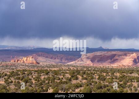 View of North Teepees in North Coyote Buttes from the Chess Queen area in the Vermilion Cliffs National Monument in Arizona. Foto Stock