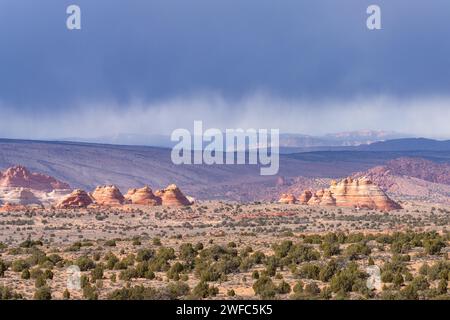 View of North & South Teepees in North Coyote Buttes, from the Chess Queen area in the Vermilion Cliffs National Monument in Arizona. Foto Stock