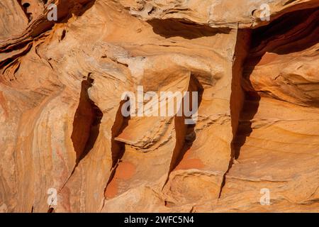 Pinne di arenaria molto sottili e fragili nelle formazioni di arenaria Navajo. South Coyote Buttes, Vermilion Cliffs National Monument, Arizona. Geologicamente, il Foto Stock