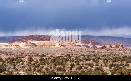 View of North Coyote Buttes & South Teepees from the Chess Queen area in the Vermilion Cliffs National Monument in Arizona.  The Wave is located in th Foto Stock