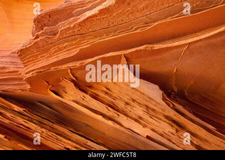 Pinne di arenaria molto sottili e fragili nelle formazioni di arenaria Navajo. South Coyote Buttes, Vermilion Cliffs National Monument, Arizona. Geologicamente, il Foto Stock