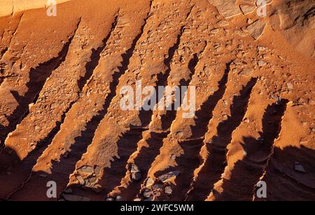 Pinne di arenaria molto sottili e fragili nelle formazioni di arenaria Navajo. South Coyote Buttes, Vermilion Cliffs National Monument, Arizona. Geologicamente, il Foto Stock