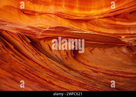 Pinne di arenaria molto sottili e fragili nelle formazioni di arenaria Navajo. South Coyote Buttes, Vermilion Cliffs National Monument, Arizona. Geologicamente, il Foto Stock