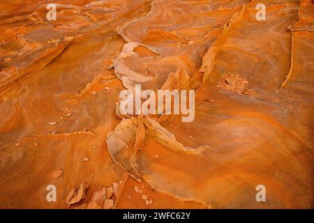 Pinne di arenaria molto sottili e fragili nelle formazioni di arenaria Navajo. South Coyote Buttes, Vermilion Cliffs National Monument, Arizona. Geologicamente, il Foto Stock