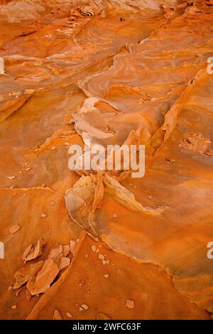 Pinne di arenaria molto sottili e fragili nelle formazioni di arenaria Navajo. South Coyote Buttes, Vermilion Cliffs National Monument, Arizona. Geologicamente, il Foto Stock